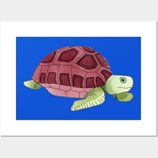 Watercolor Turtle Posters and Art